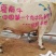 夏南牛夏洛来牛犊子公牛犊子育肥牛河南