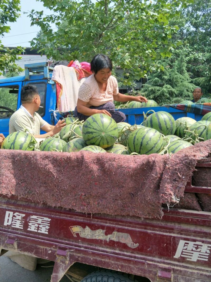 石头西瓜需要的联系