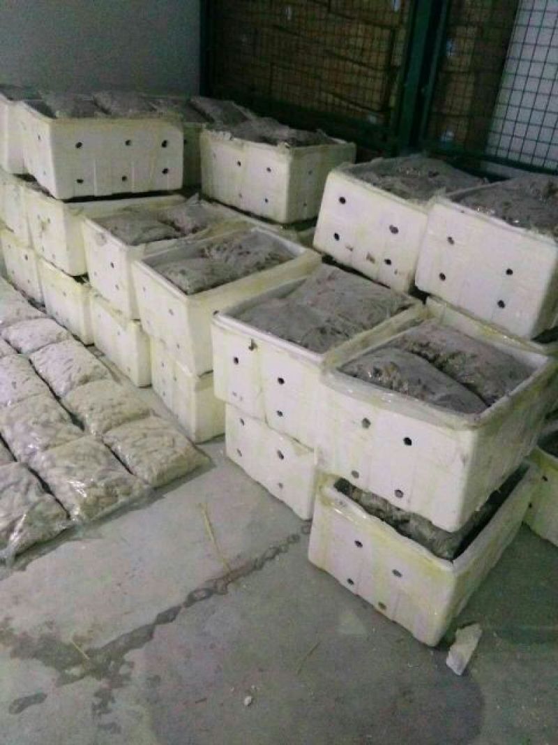 面筋