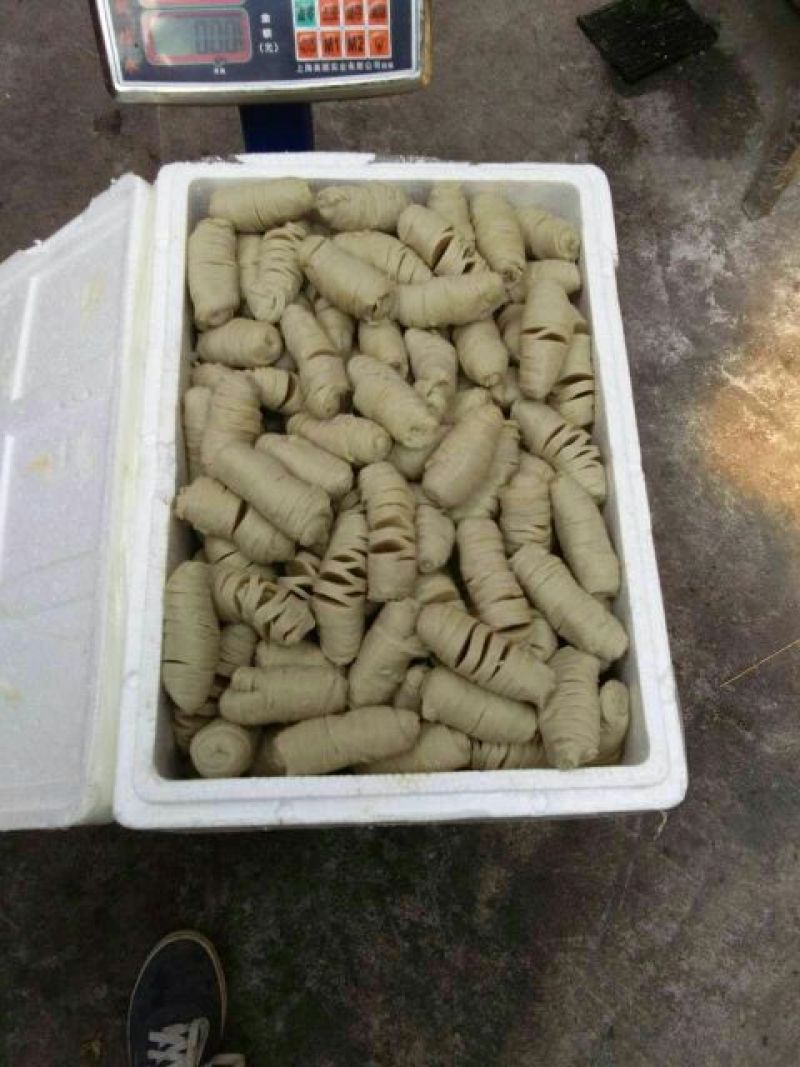 面筋