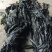 供应福建霞浦海带台湾海峡无沙干海带不夹碎菜