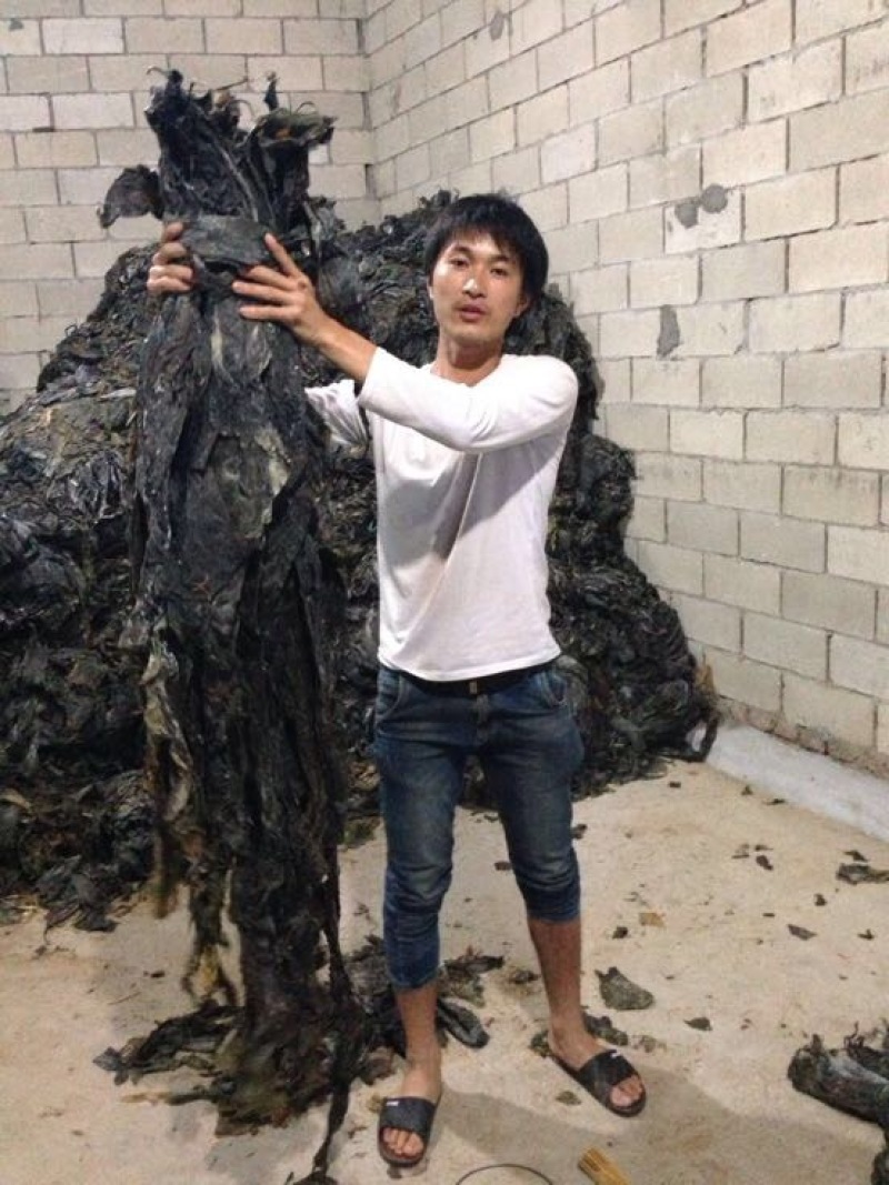 供应福建霞浦海带台湾海峡无沙干海带不夹碎菜