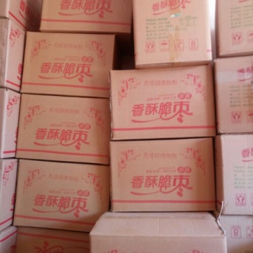 脆枣干枣特级