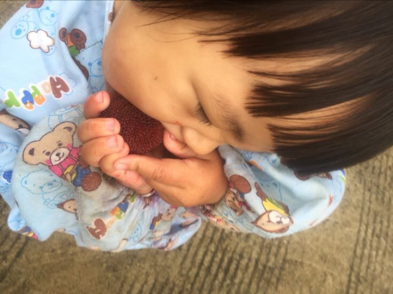 杨梅