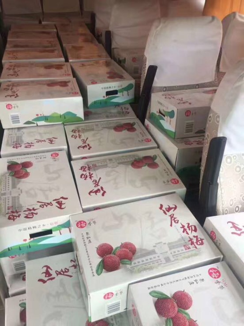 杨梅