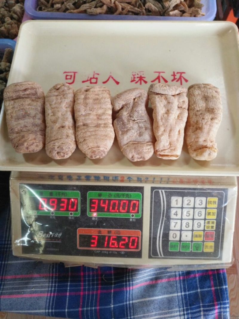 天麻(仿野生种植)云南昭通天麻
