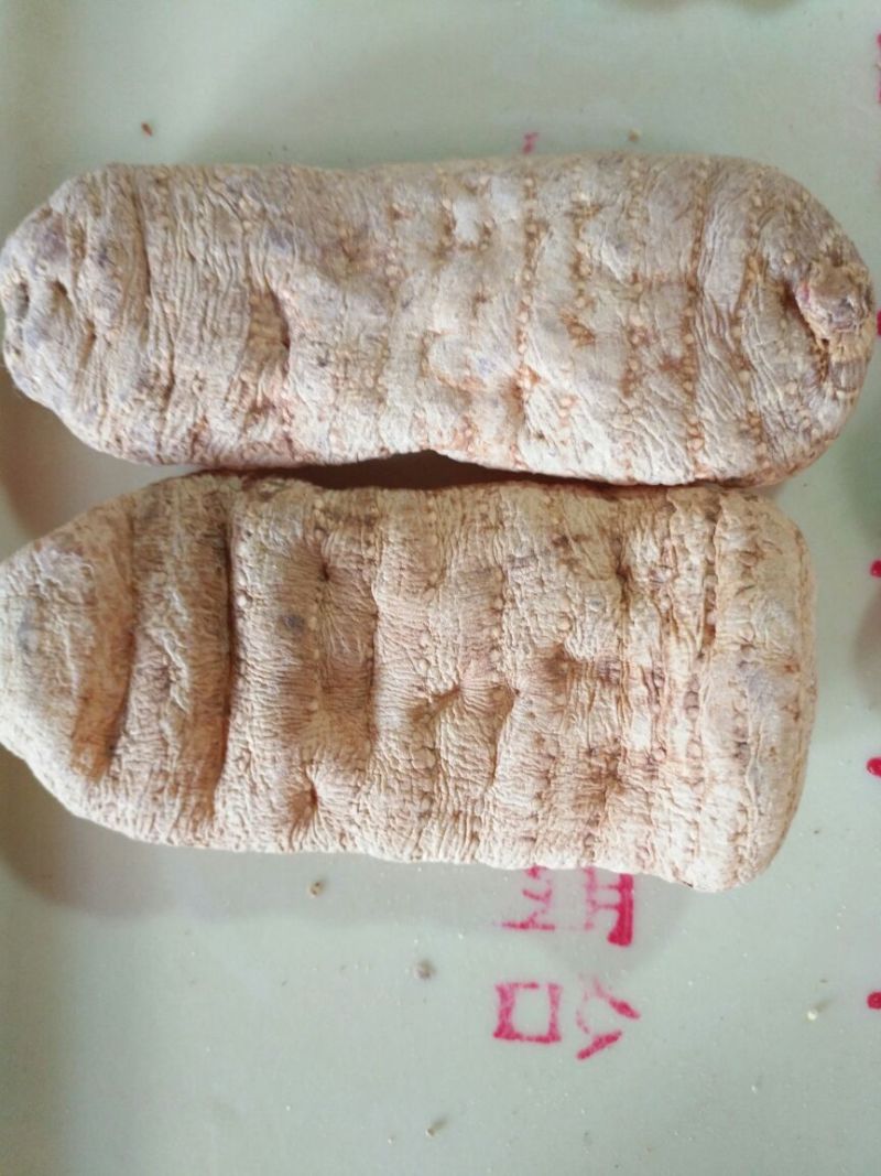 天麻(仿野生种植)云南昭通天麻