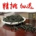 正山小种500克/盒生态新茶茶包邮