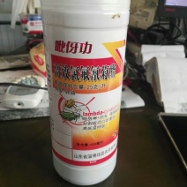 吡伢功25克/升氯氟菊酯十字花科菜青虫杀虫剂