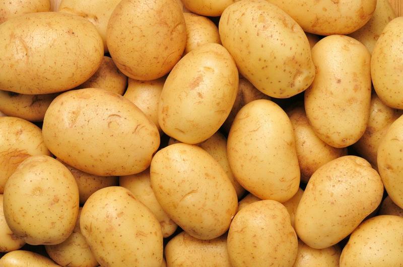 荷兰十五土豆3两以上通货