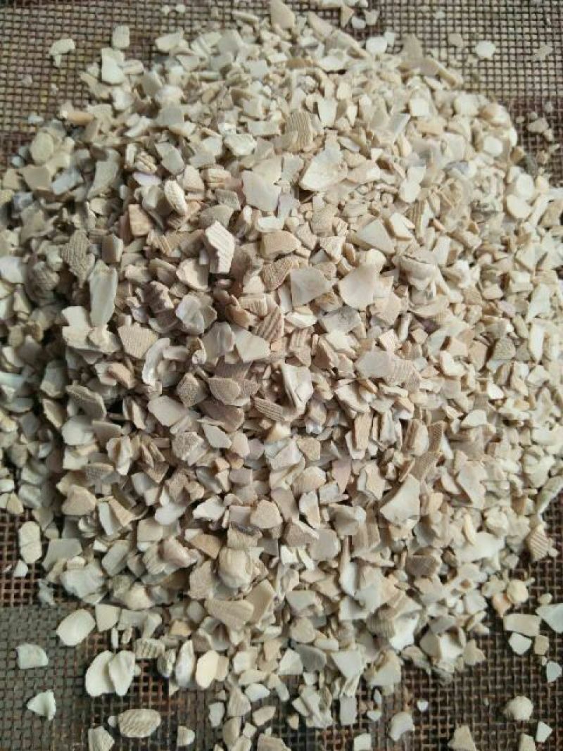 贝壳粉中颗粒精致加工高钙蛋类养殖的必选产品