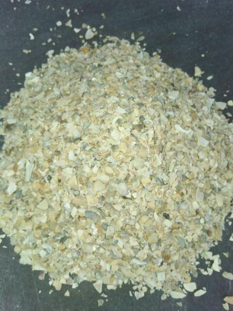 贝壳粉中颗粒精致加工高钙蛋类养殖的必选产品