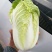 娃娃菜10两以上以上