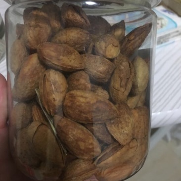纸皮巴旦木