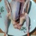鸽子500~600g