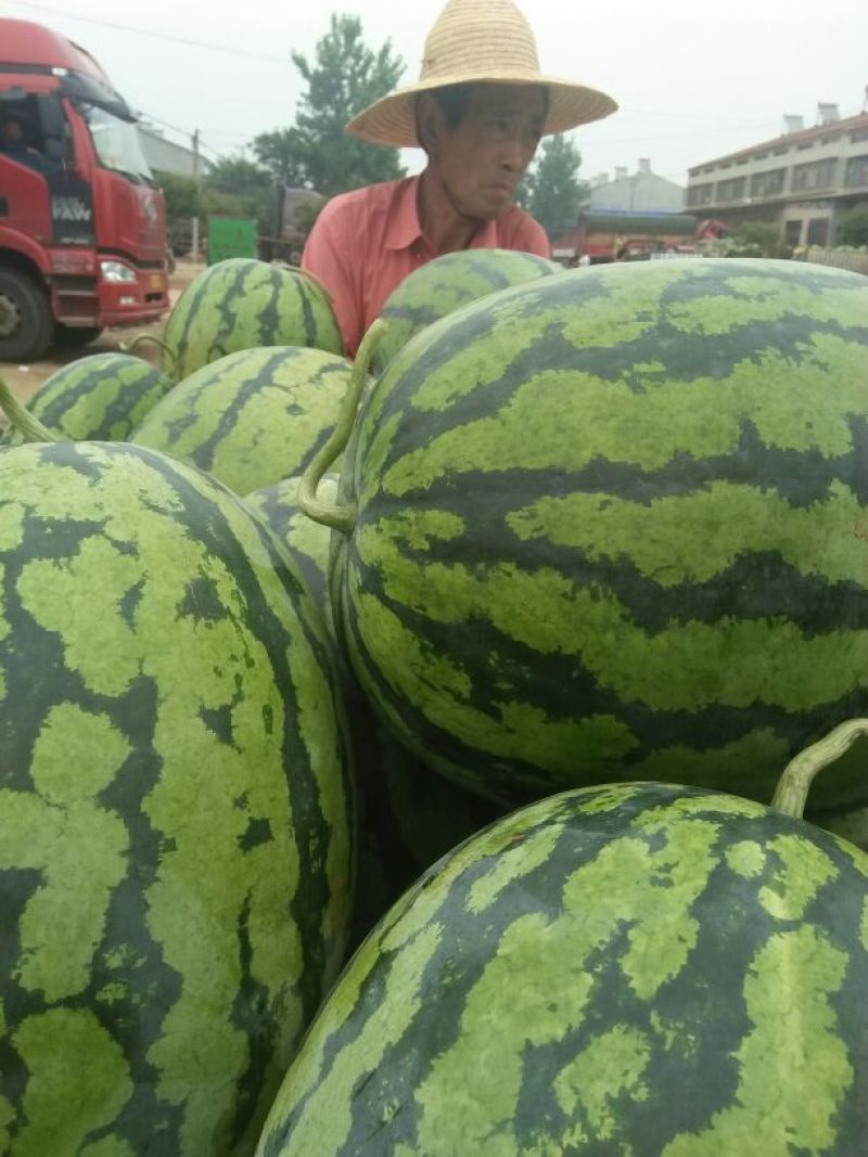 甜王西瓜大量上市，产地值销，专业代收，代发保质保量