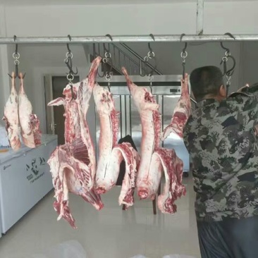 普通羊肉否不带骨绵羊肉