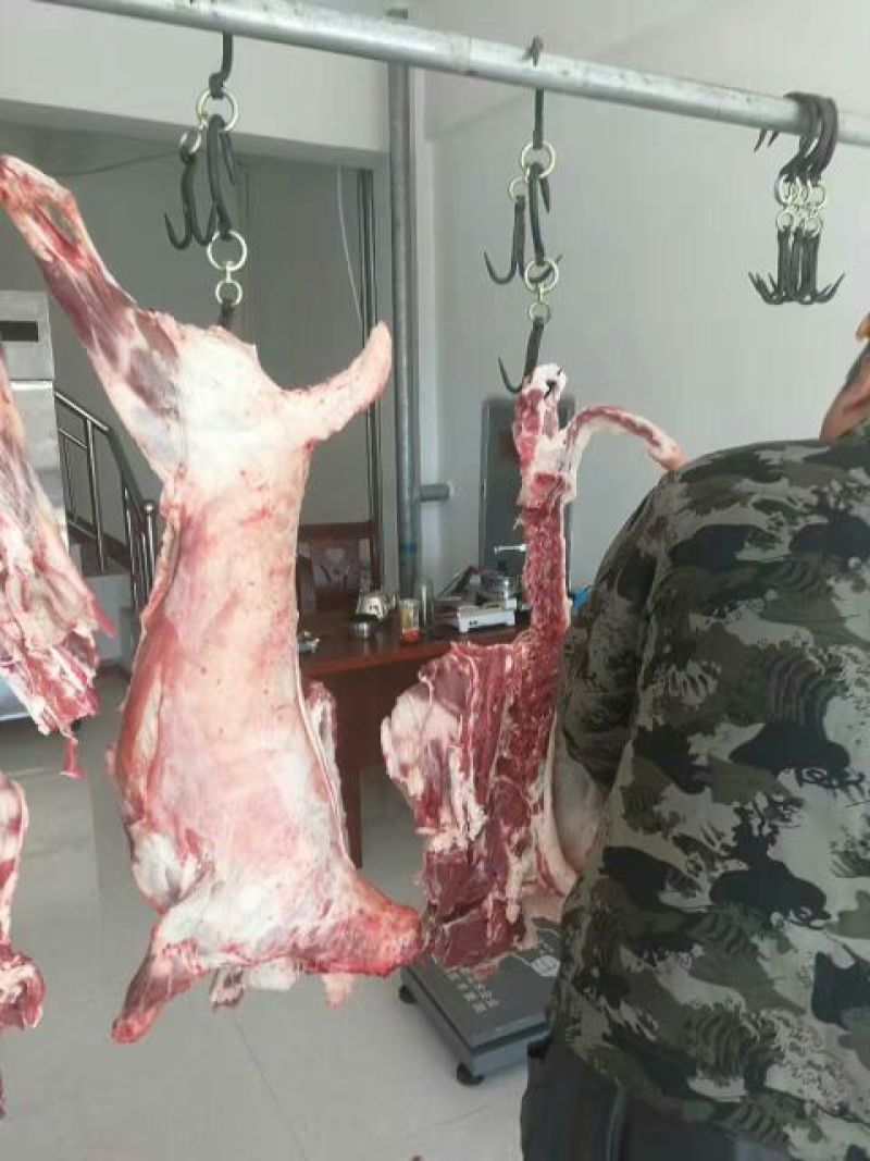 普通羊肉否不带骨绵羊肉