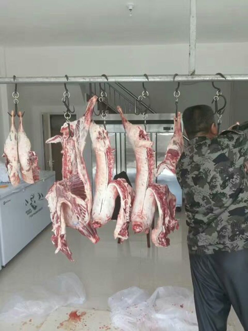 普通羊肉否不带骨绵羊肉