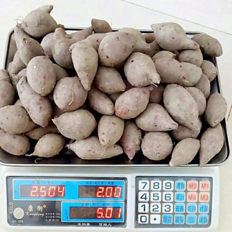 紫薯