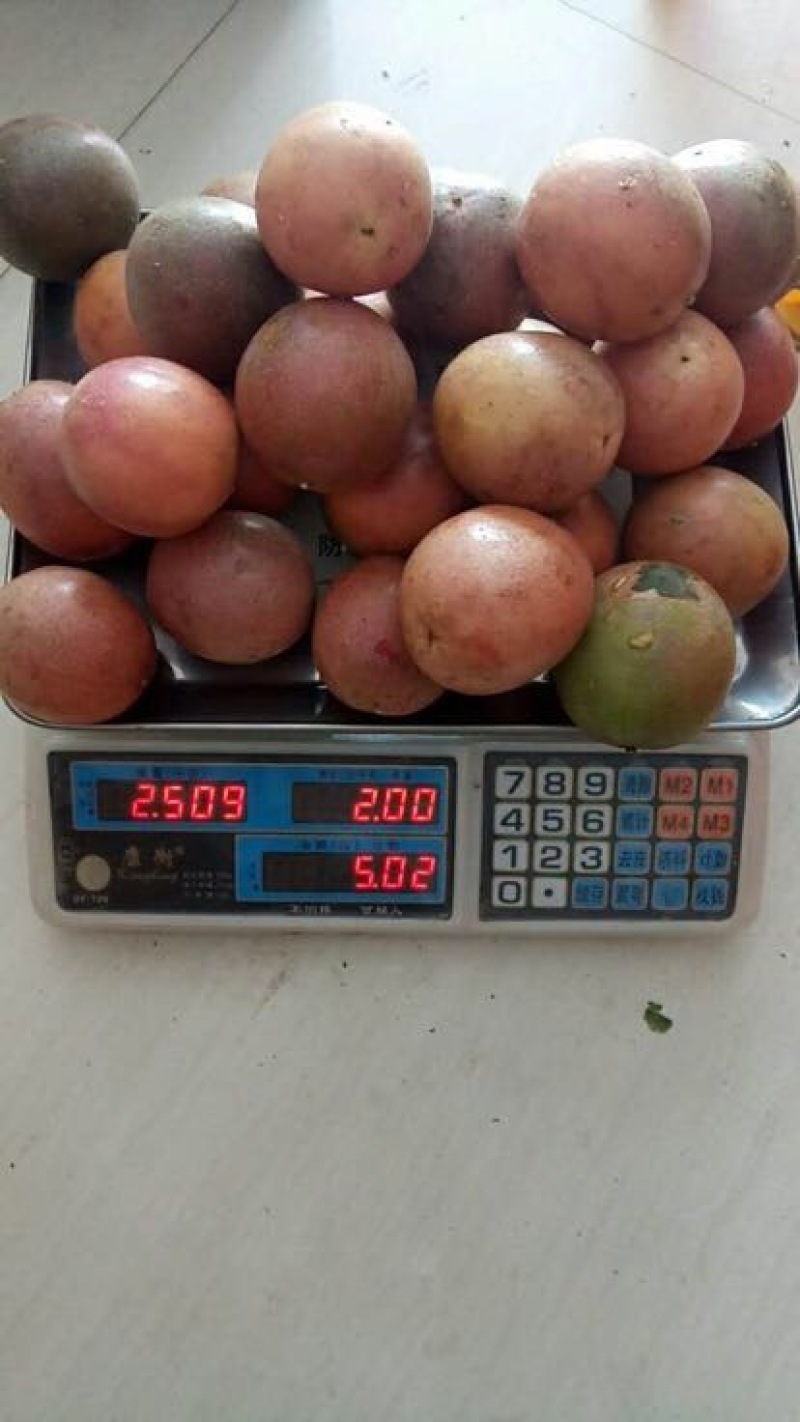 百香果