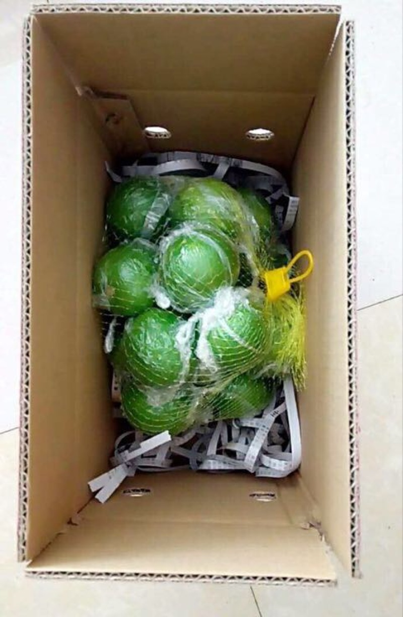 青柠檬