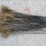 花椒树苗大红袍花椒苗四川食用麻椒南方北方种植盆栽地栽当年
