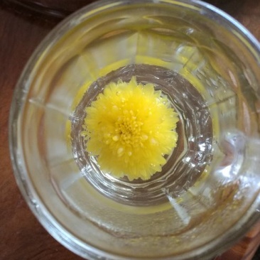 皇菊茶一级