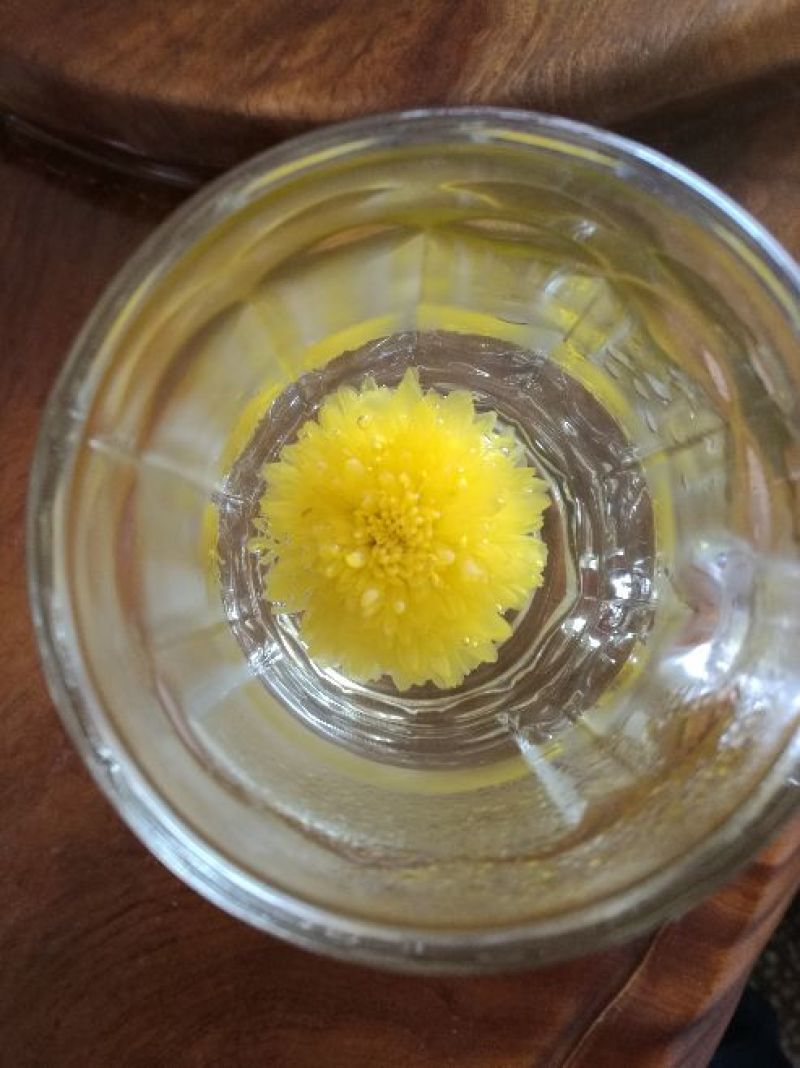 皇菊茶一级