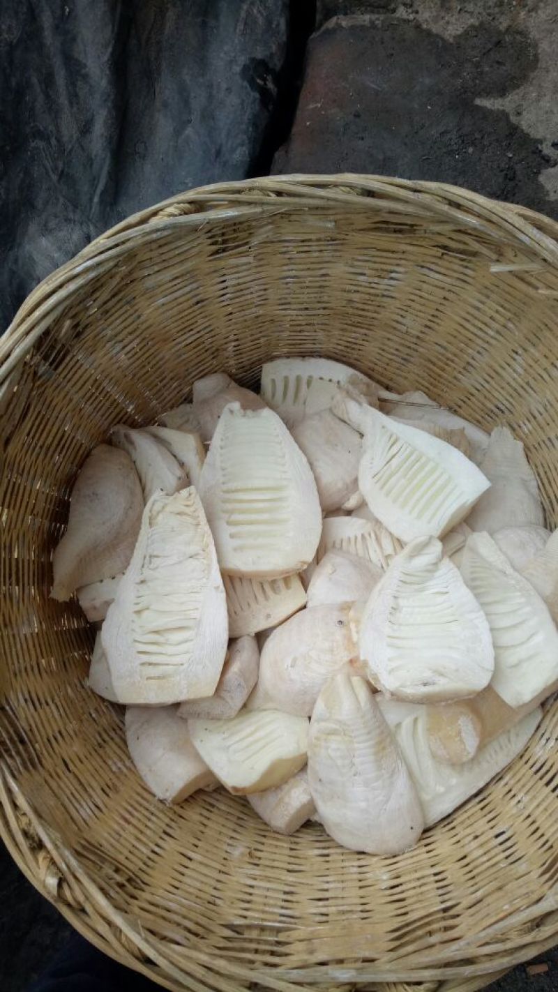 【大量供应】笋干，自然烘干，楠竹笋干美味低价货源充足