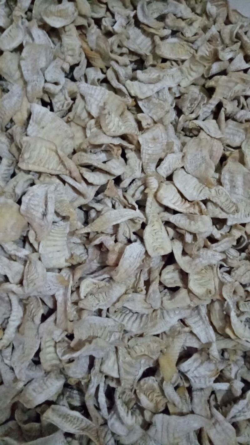 【大量供应】笋干，自然烘干，楠竹笋干美味低价货源充足