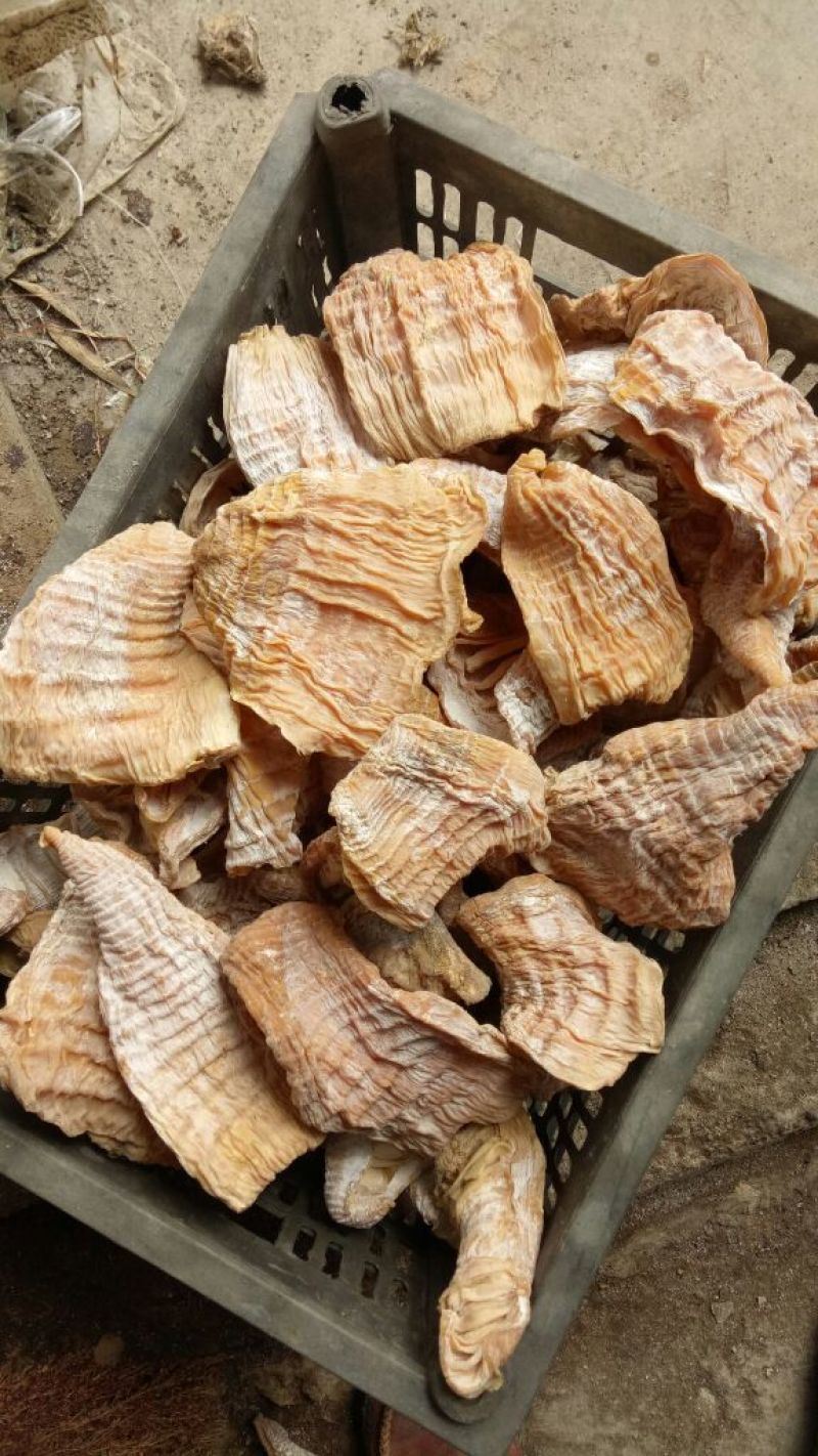【大量供应】笋干，自然烘干，楠竹笋干美味低价货源充足