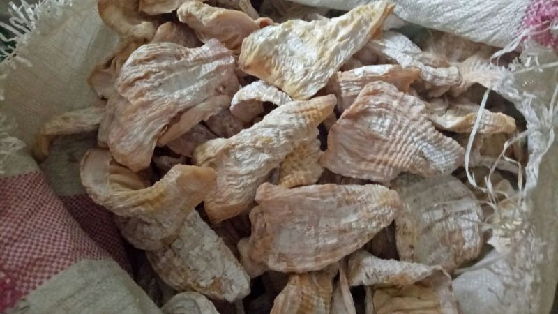 【大量供应】笋干，自然烘干，楠竹笋干美味低价货源充足