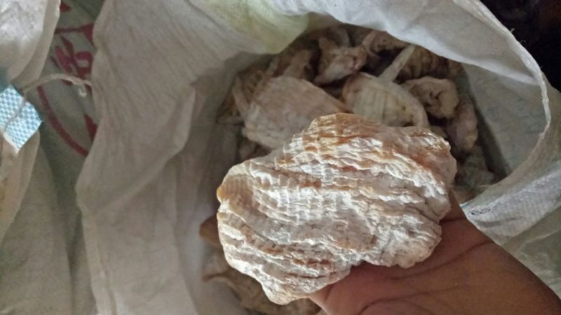 【大量供应】笋干，自然烘干，楠竹笋干美味低价货源充足