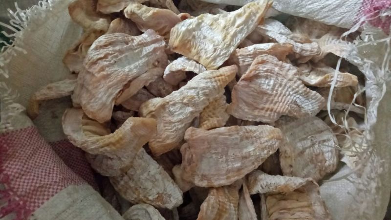 【大量供应】笋干，自然烘干，楠竹笋干美味低价货源充足