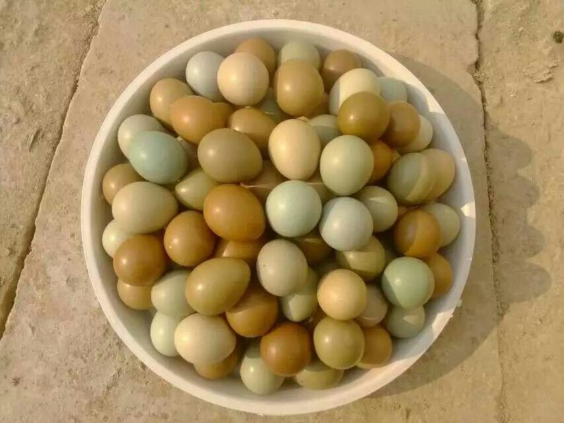 野鸡蛋50g以下食用，质量有保证、破损由我来负责。