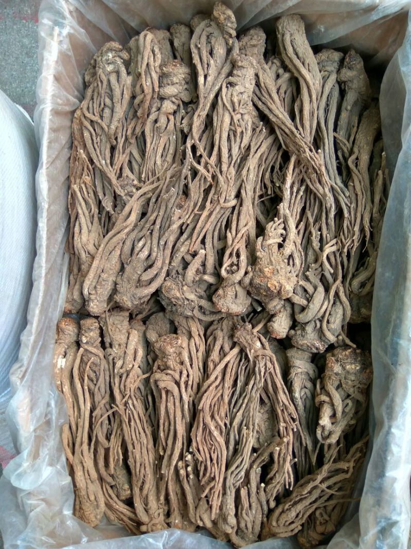 当归片子各种规格货源充足当归长期有货