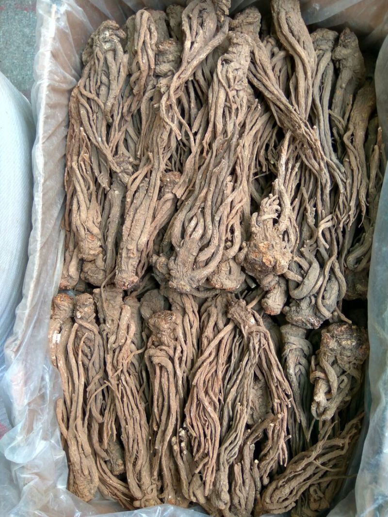 甘肃当归个子各种规格一件代发货