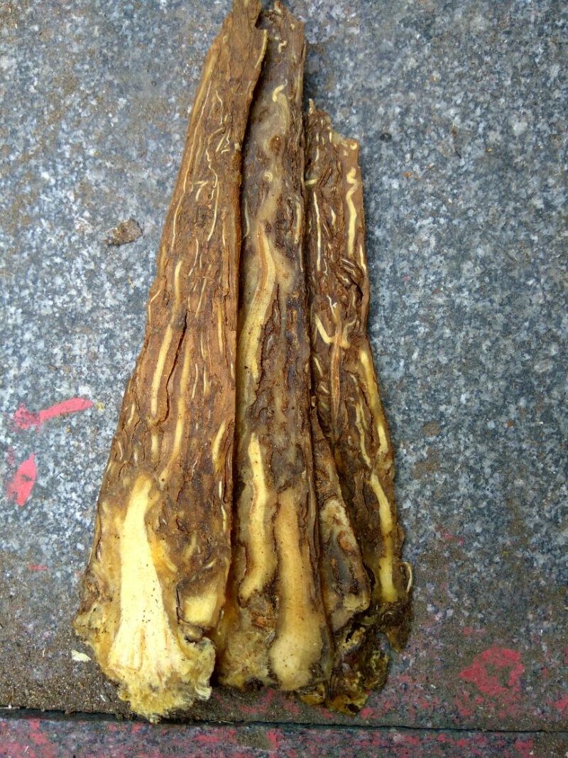 甘肃当归个子各种规格一件代发货