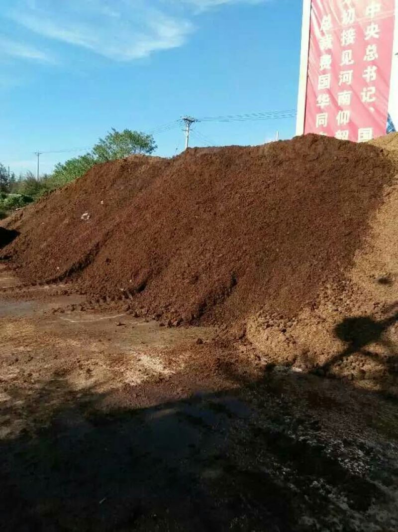 酒糟