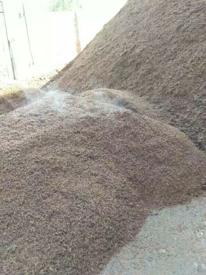 酒糟