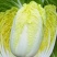 娃娃菜3~4两以上