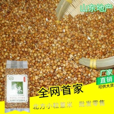 红薏米薏米红薏米