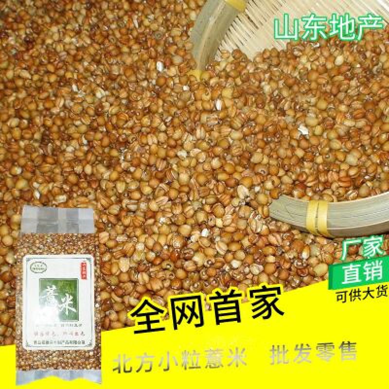 红薏米薏米红薏米