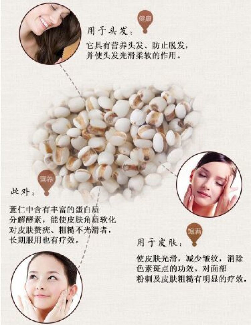 白薏米薏米白薏米