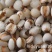 白薏米薏米白薏米