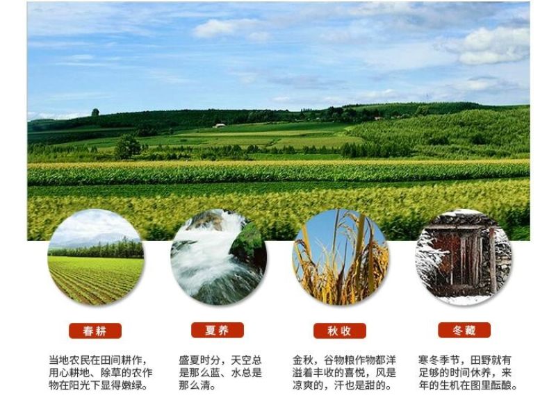 红薏米薏米红薏米