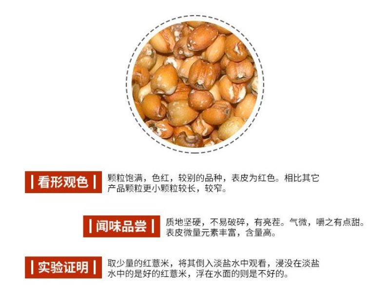 红薏米薏米红薏米
