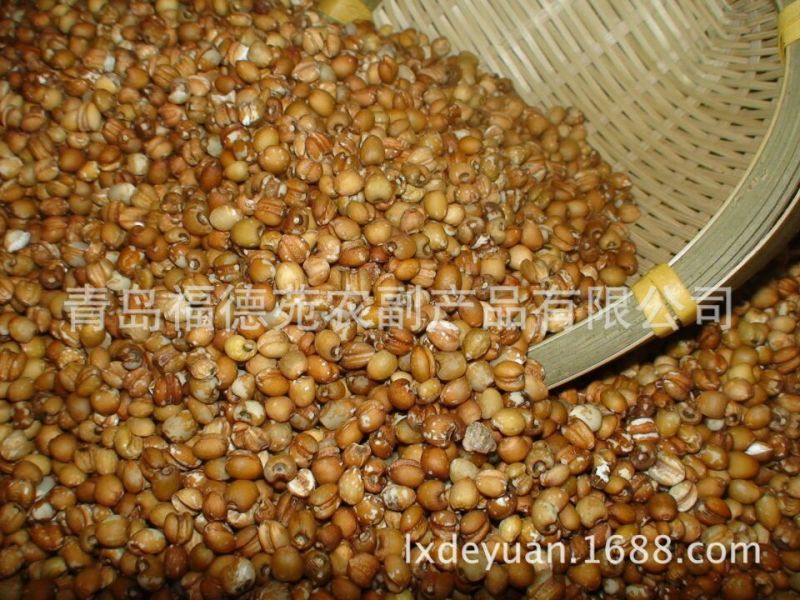 红薏米薏米红薏米