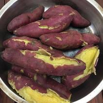 天目小香薯5斤大果24元发货包售后